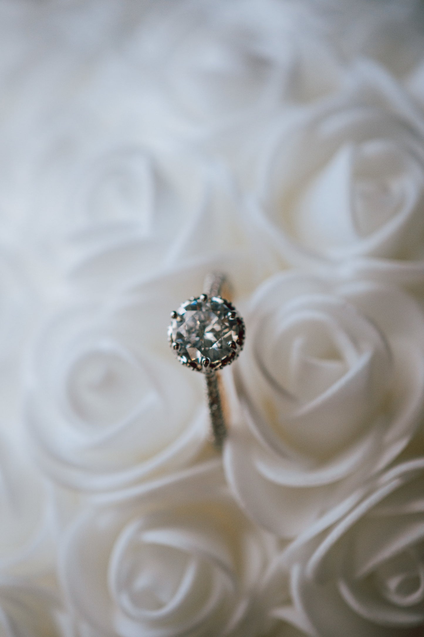 Bliss Cubic Zircon Gold Accent Sterling Silver Ring